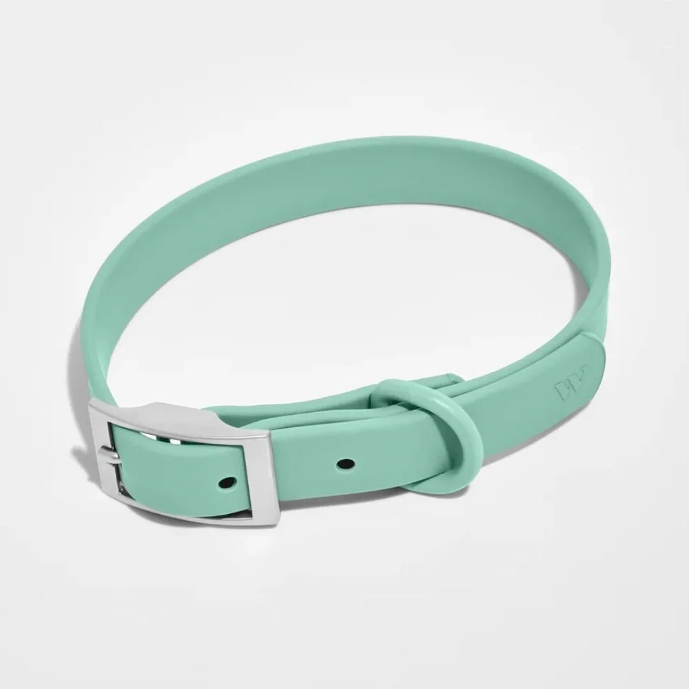 Wild One Dog Collar - L (15-18